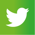 Twitter social media icon